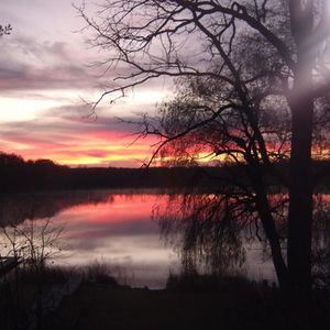 Meet your Posher, Carol